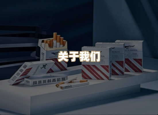 关于逸客网
